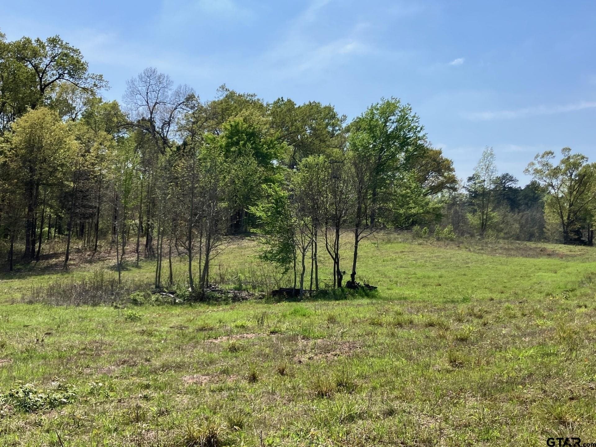 3.89 acres in Smith County - photo 5