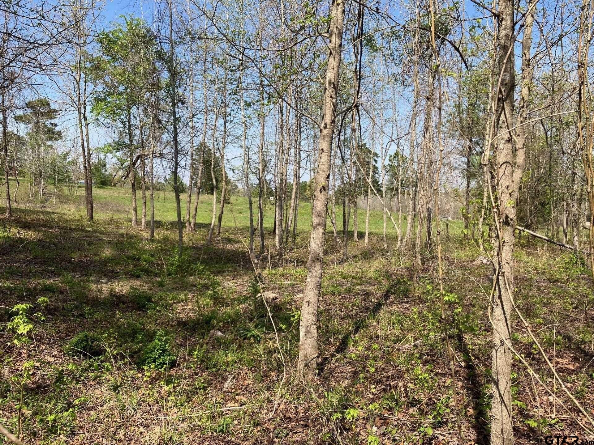 3.89 acres in Smith County - photo 10
