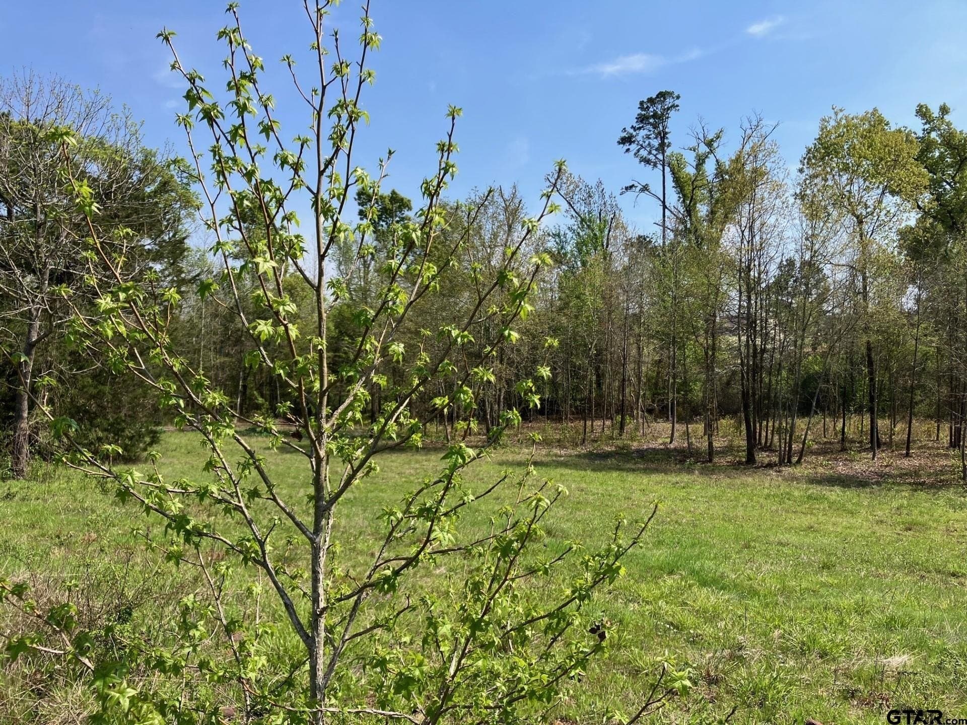 3.89 acres in Smith County - photo 3