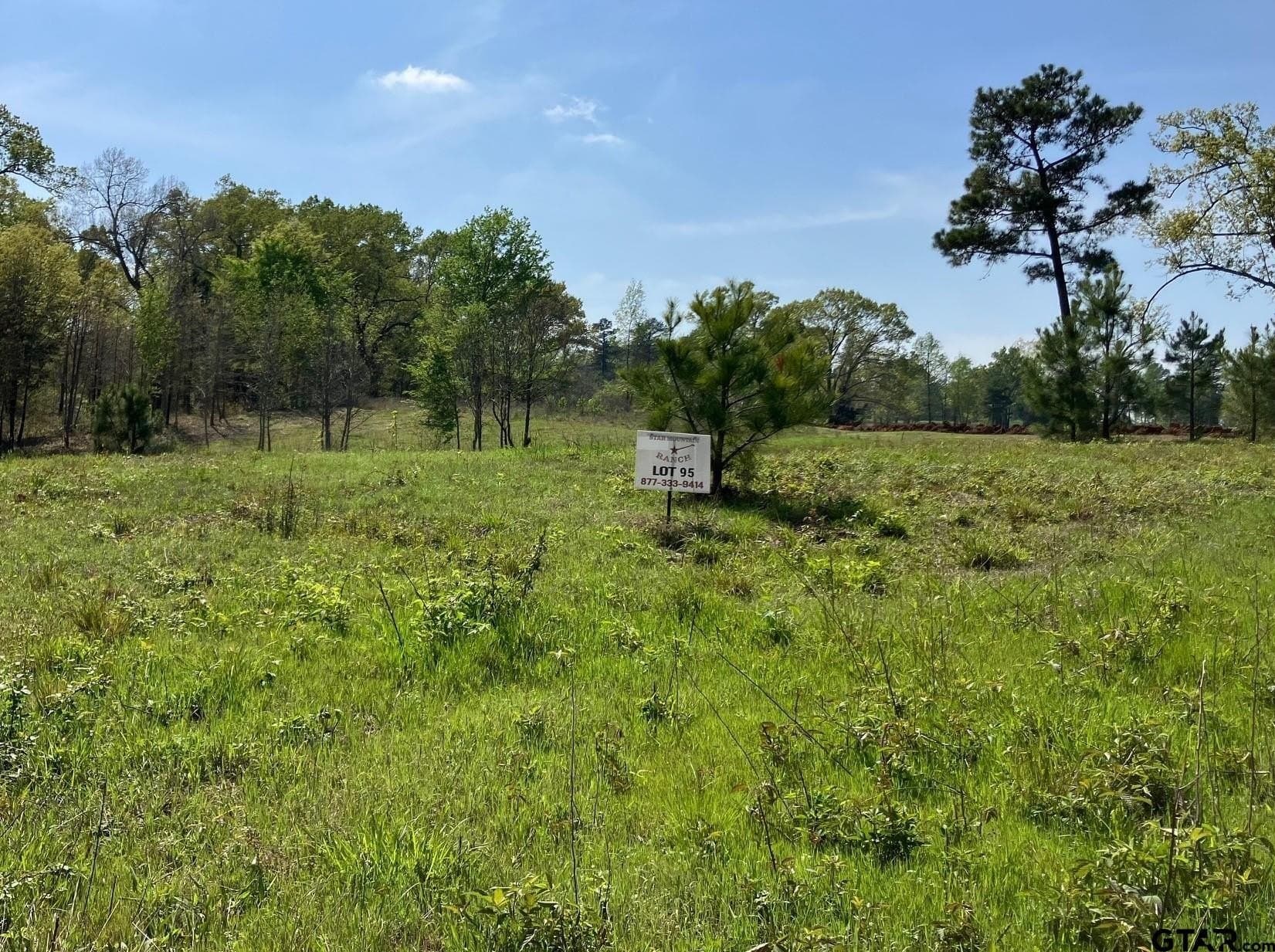 3.89 acres in Smith County - photo 4