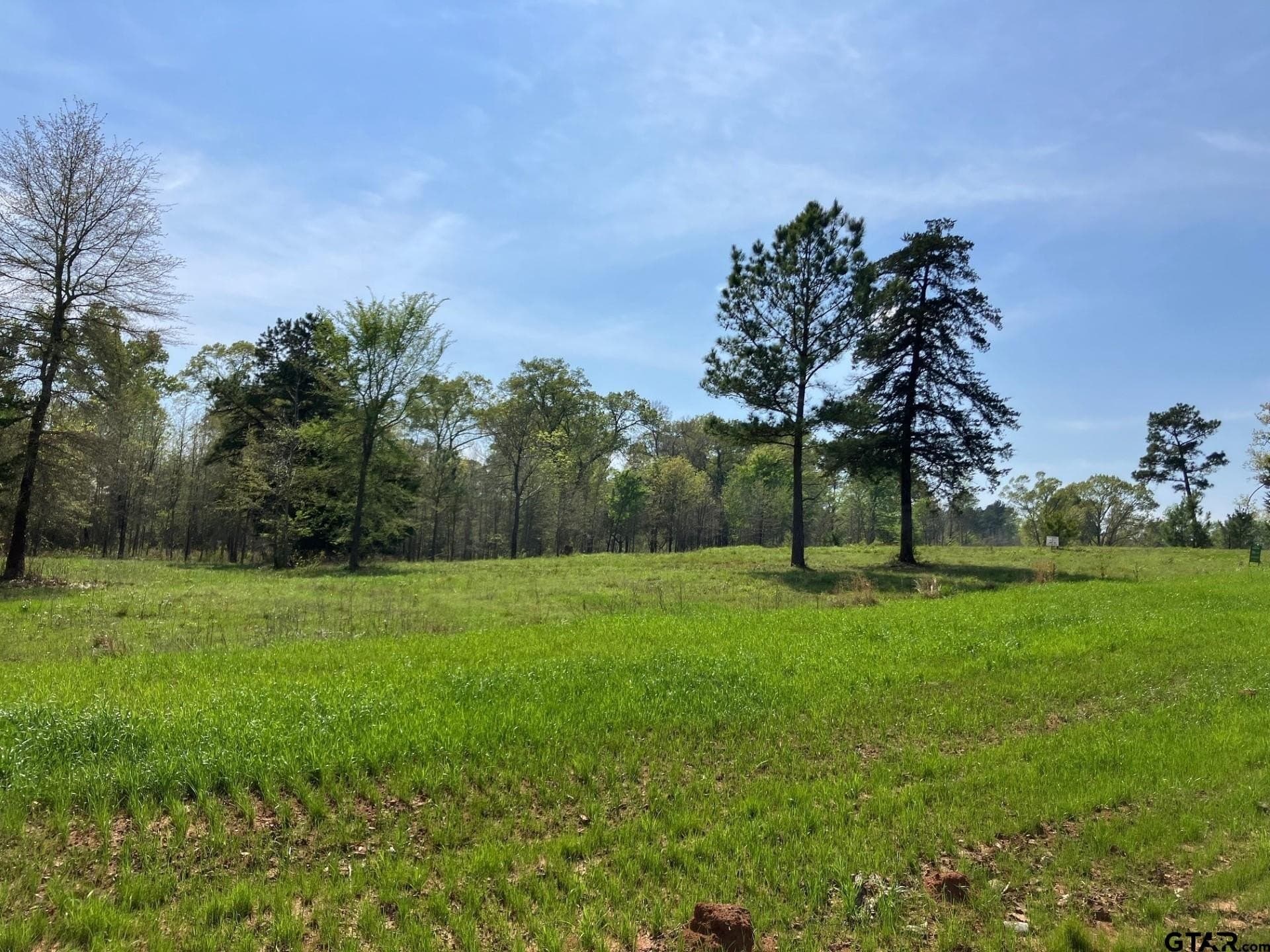 3.89 acres in Smith County - photo 2