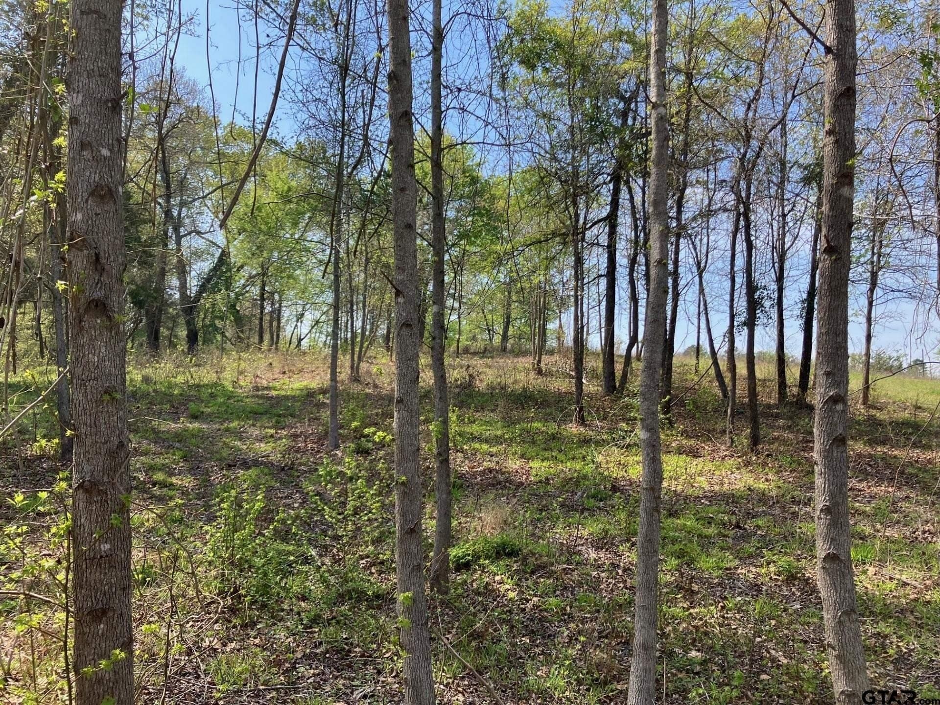 3.89 acres in Smith County - photo 11
