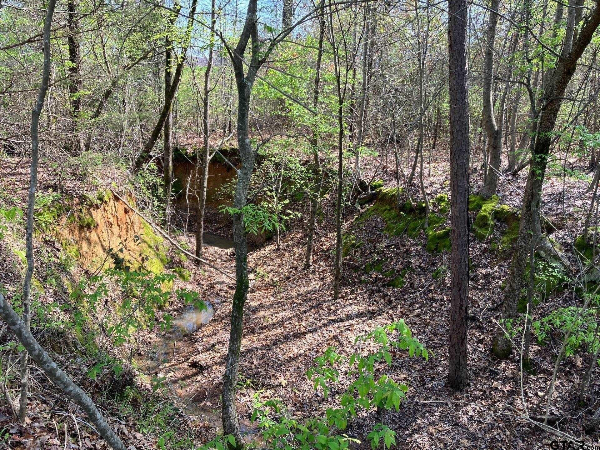 3.89 acres in Smith County - photo 12