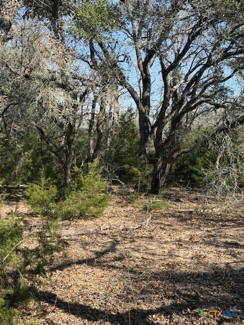 74.83 acres in Lavaca County - photo 5