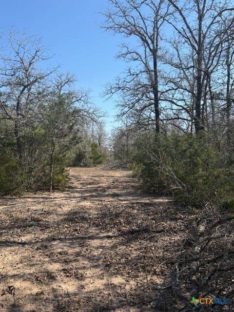 74.83 acres in Lavaca County - photo 6