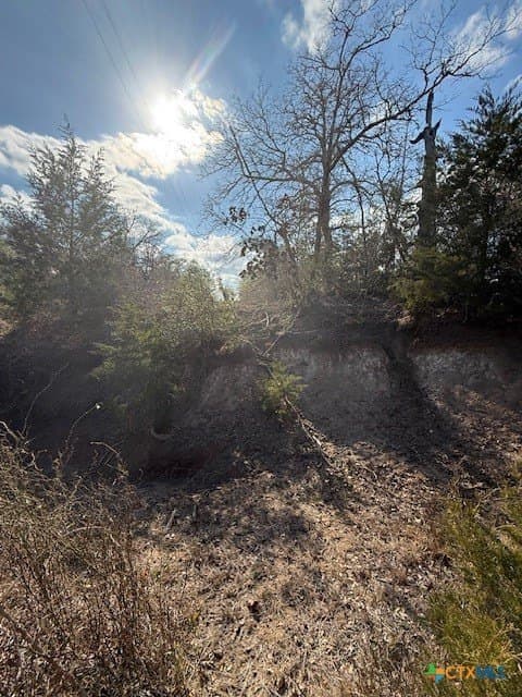 74.83 acres in Lavaca County - photo 10