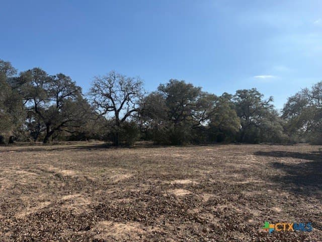 74.83 acres in Lavaca County - photo 2