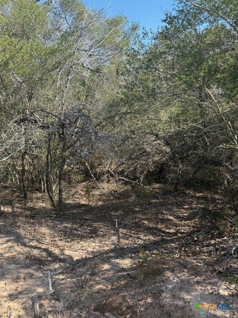 74.83 acres in Lavaca County - photo 7