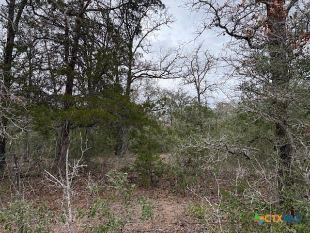 74.83 acres in Lavaca County - photo 3