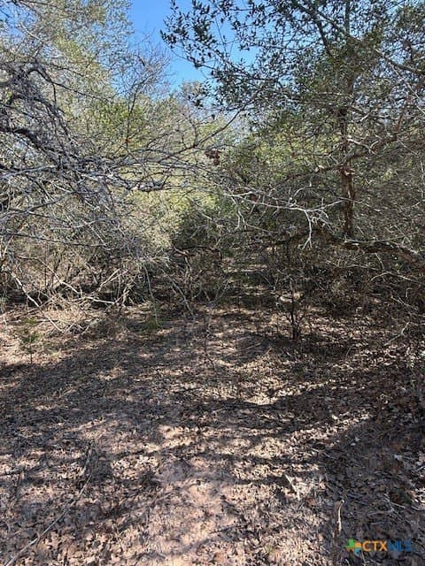 74.83 acres in Lavaca County - photo 8