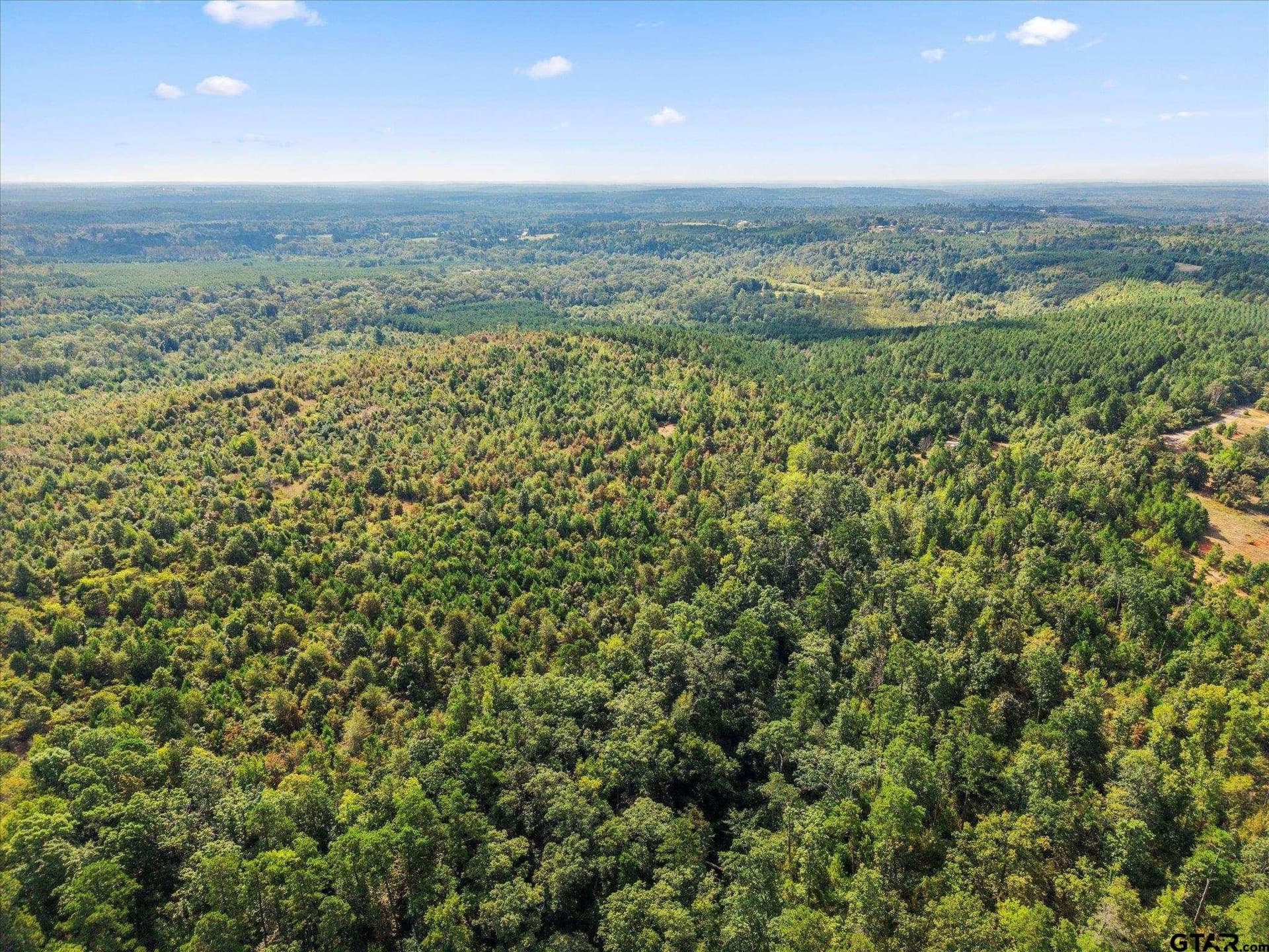 24.73 acres in Cass County - photo 10