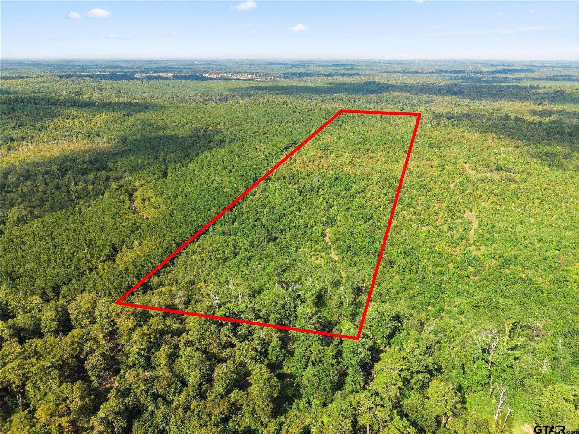 24.73 acres in Cass County - photo 7