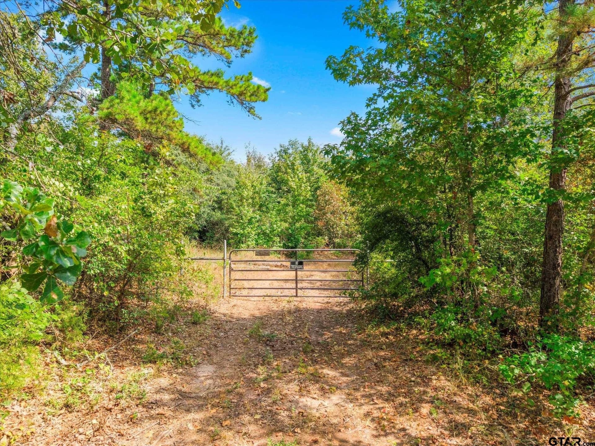1162 County Road 1647