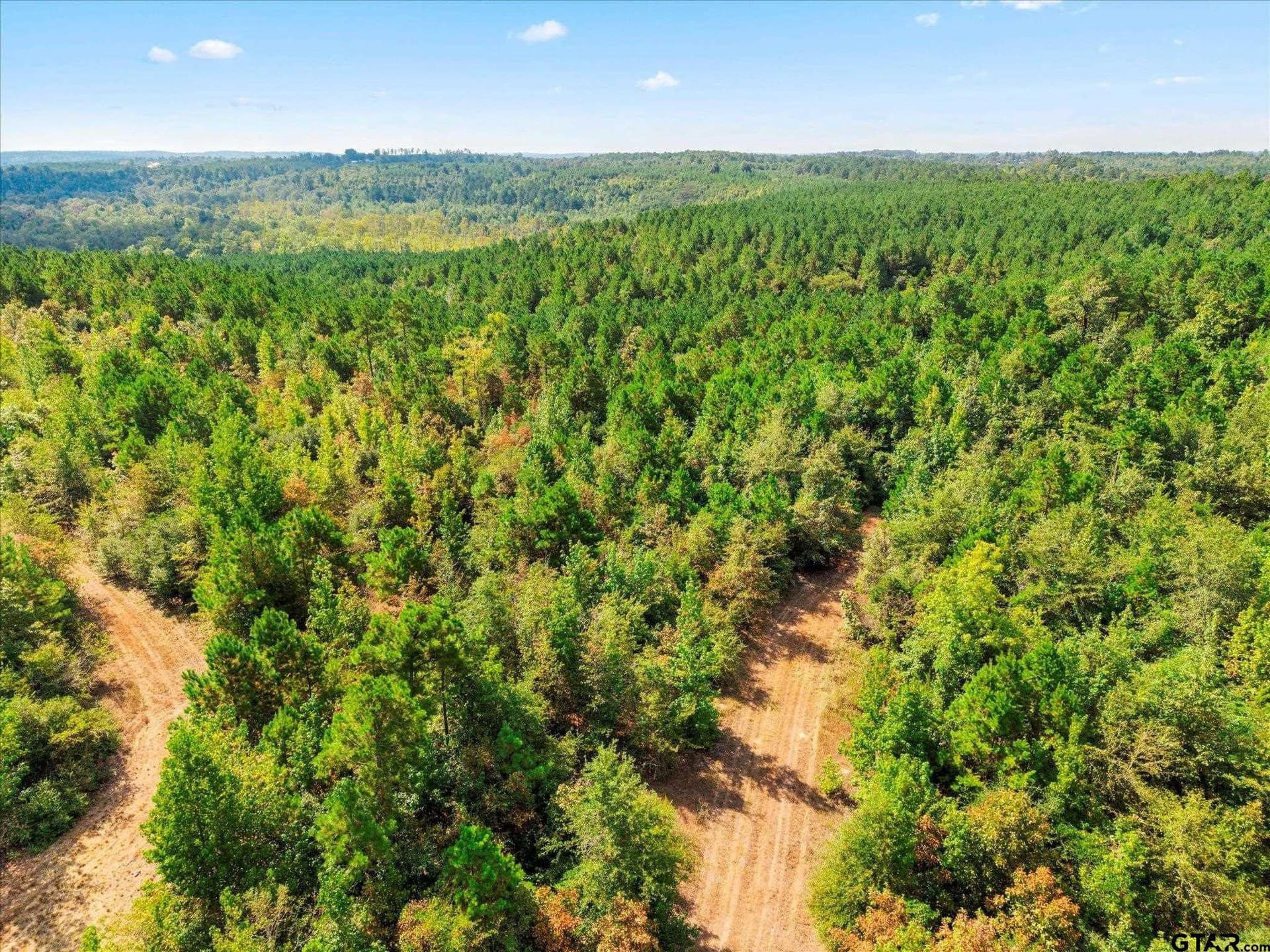 24.73 acres in Cass County - photo 25