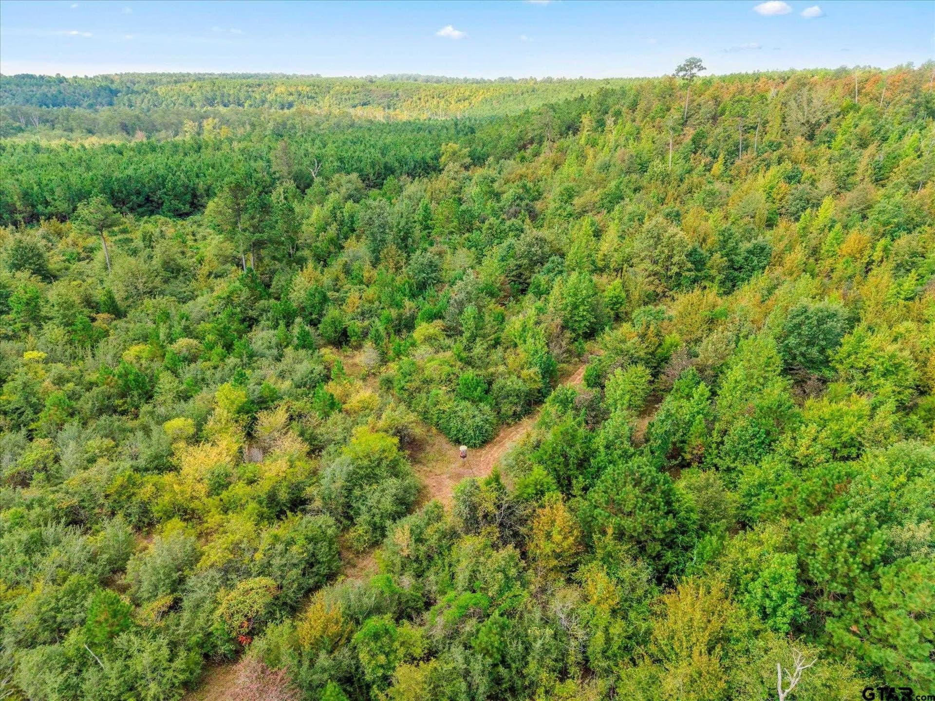 24.73 acres in Cass County - photo 14