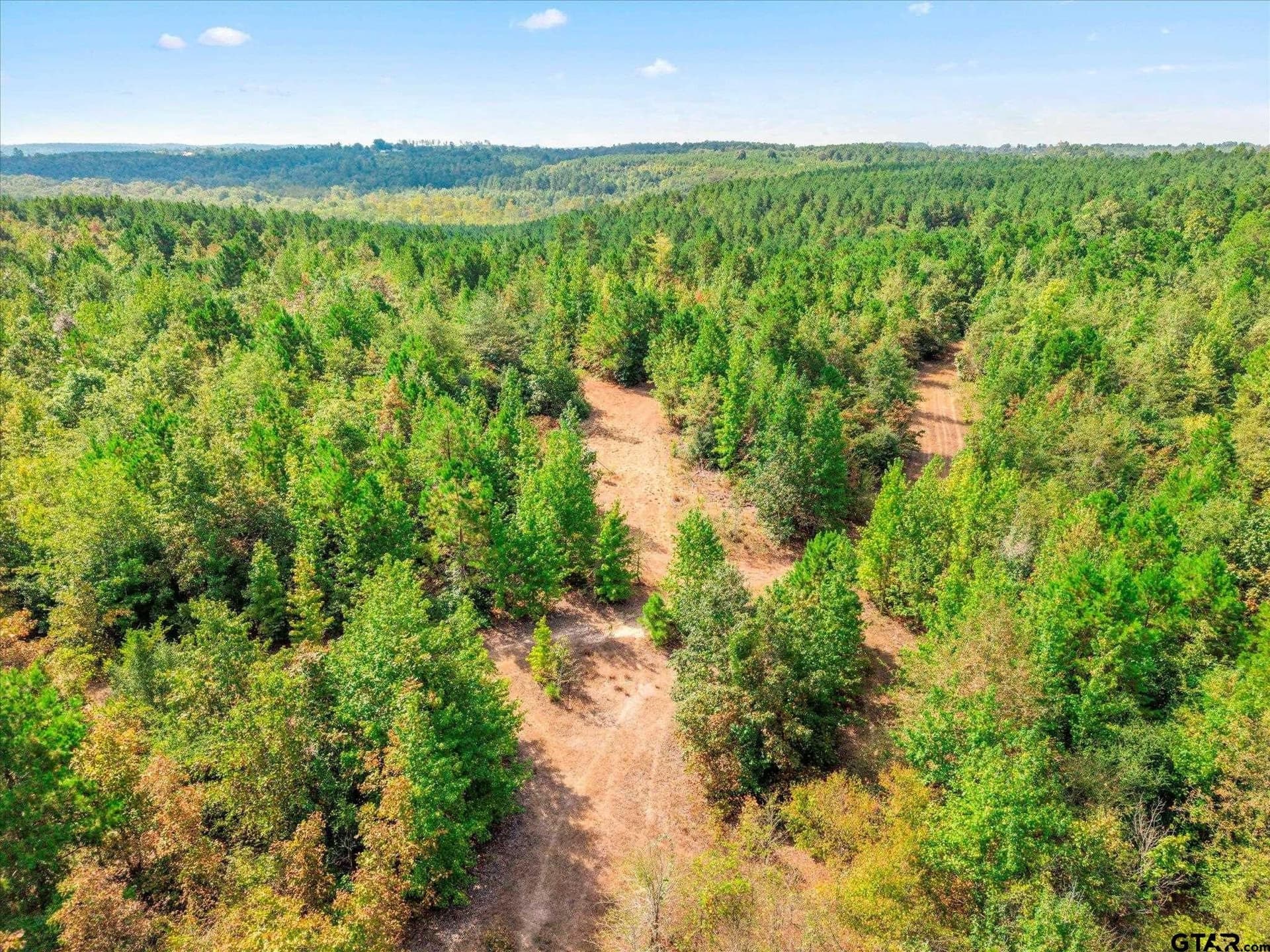 24.73 acres in Cass County - photo 23