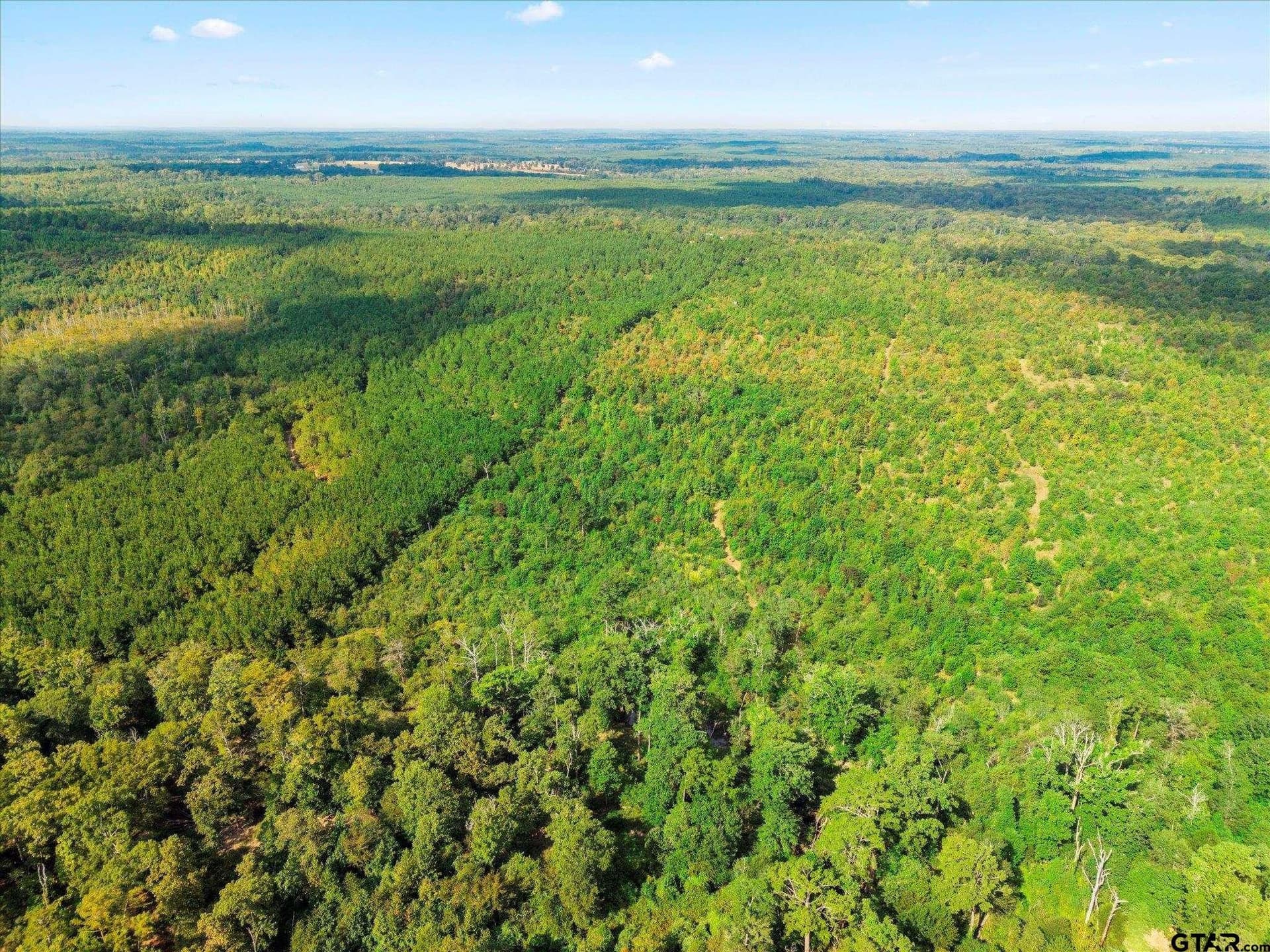 24.73 acres in Cass County - photo 13
