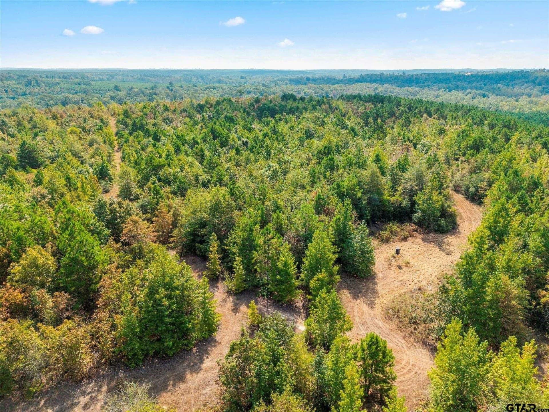 24.73 acres in Cass County - photo 24
