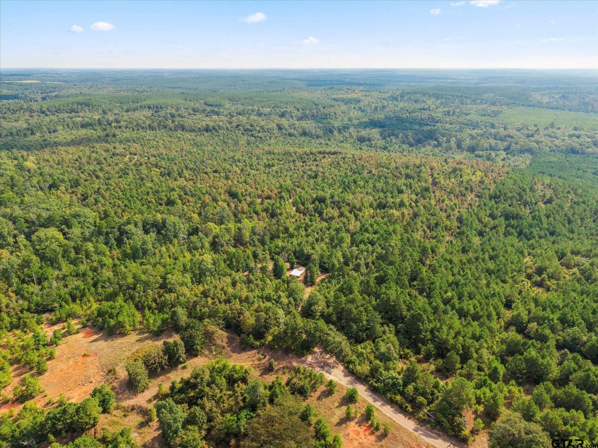 24.73 acres in Cass County - photo 11