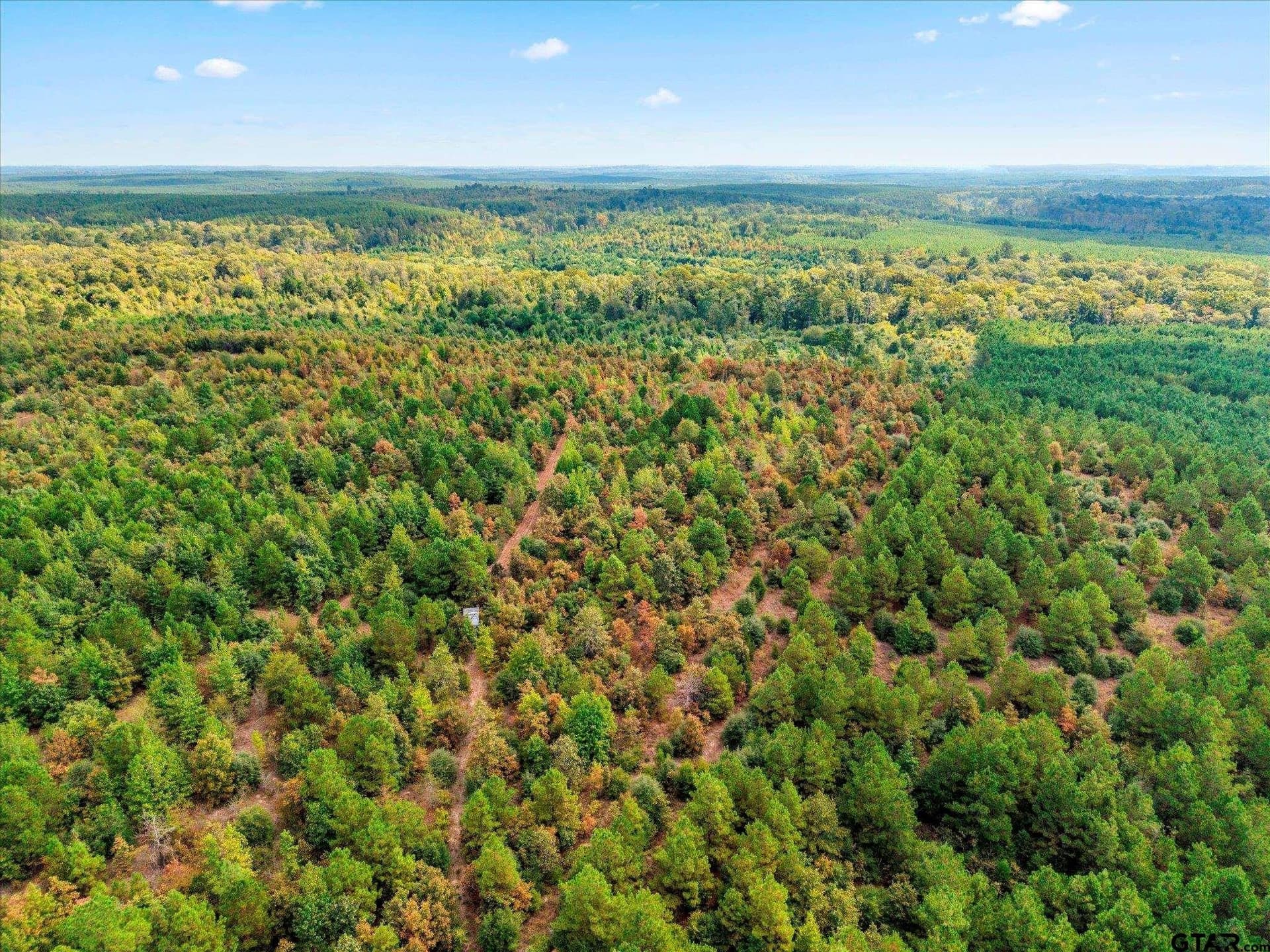 24.73 acres in Cass County - photo 17