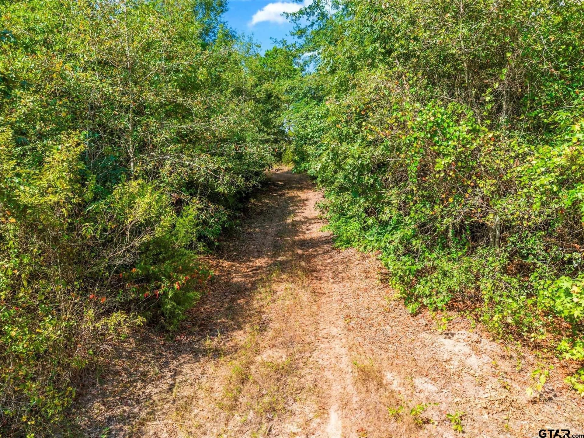 24.73 acres in Cass County - photo 29