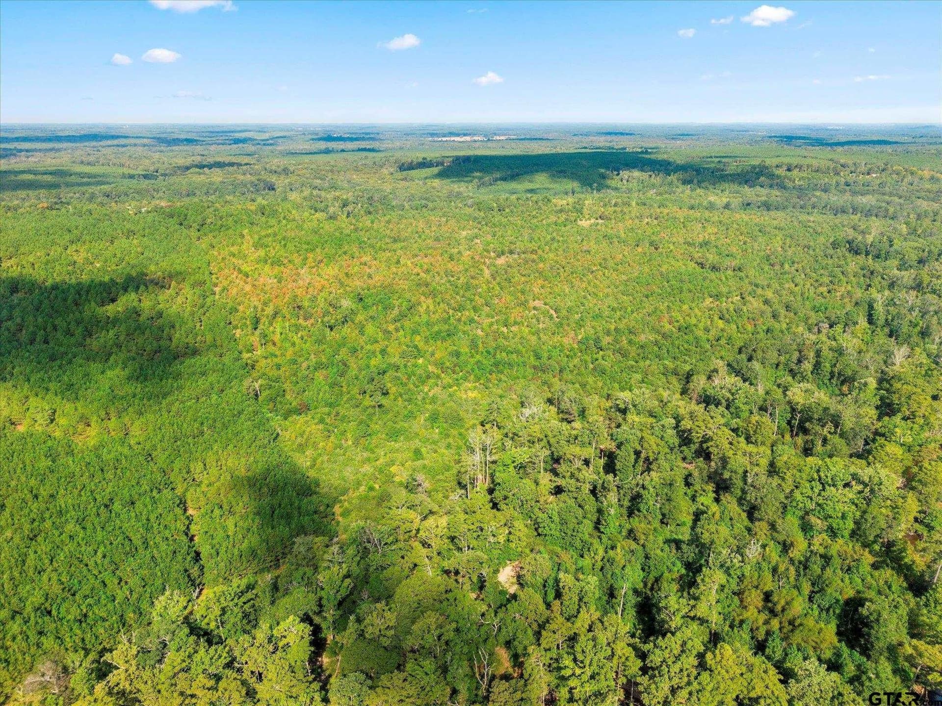24.73 acres in Cass County - photo 12