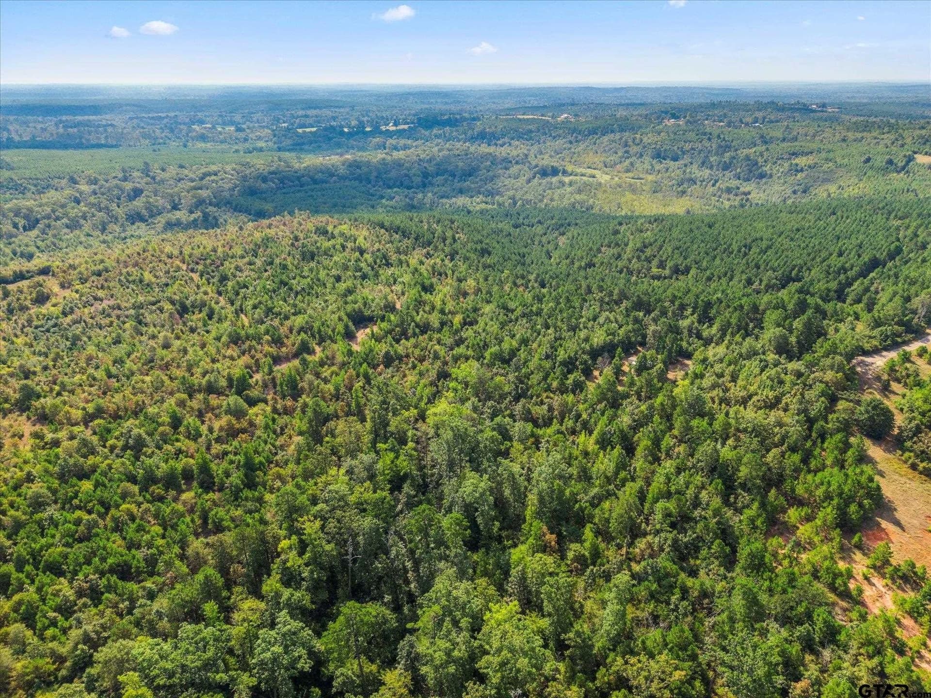 24.73 acres in Cass County - photo 8