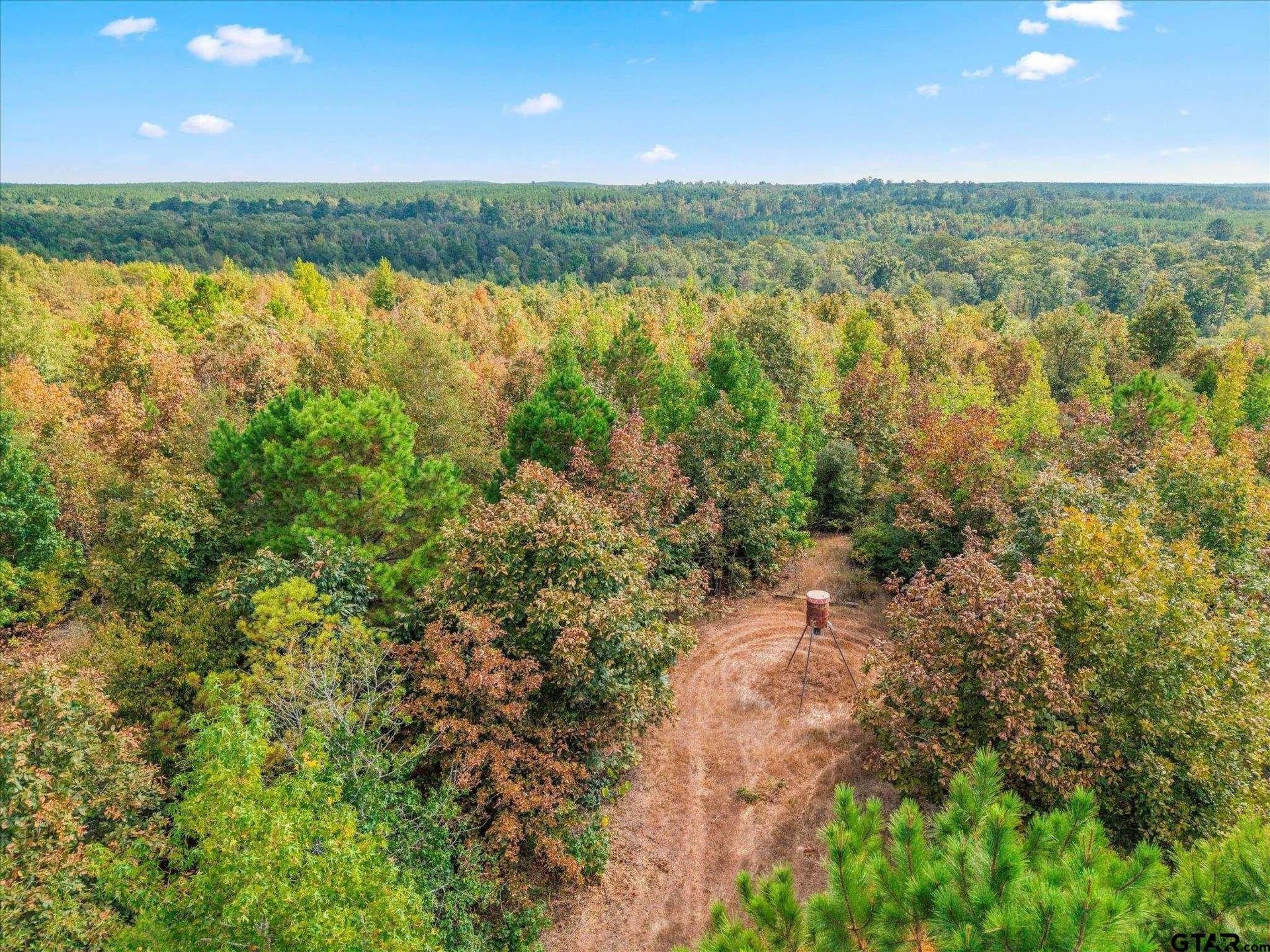 24.73 acres in Cass County - photo 19