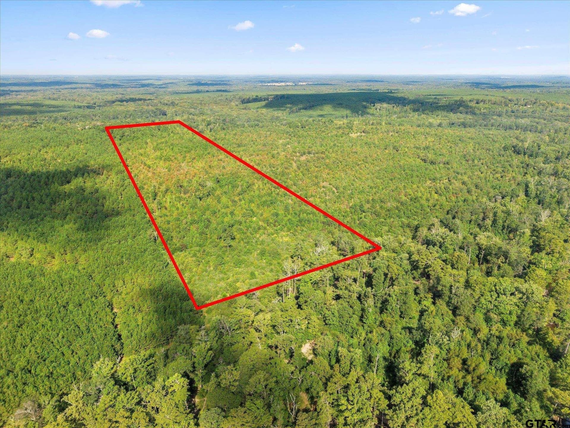 24.73 acres in Cass County - photo 6