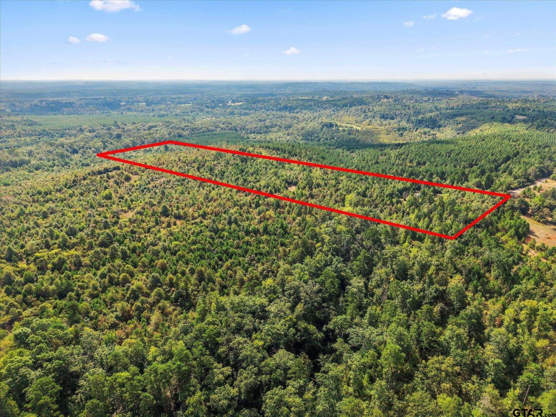 24.73 acres in Cass County - photo 4