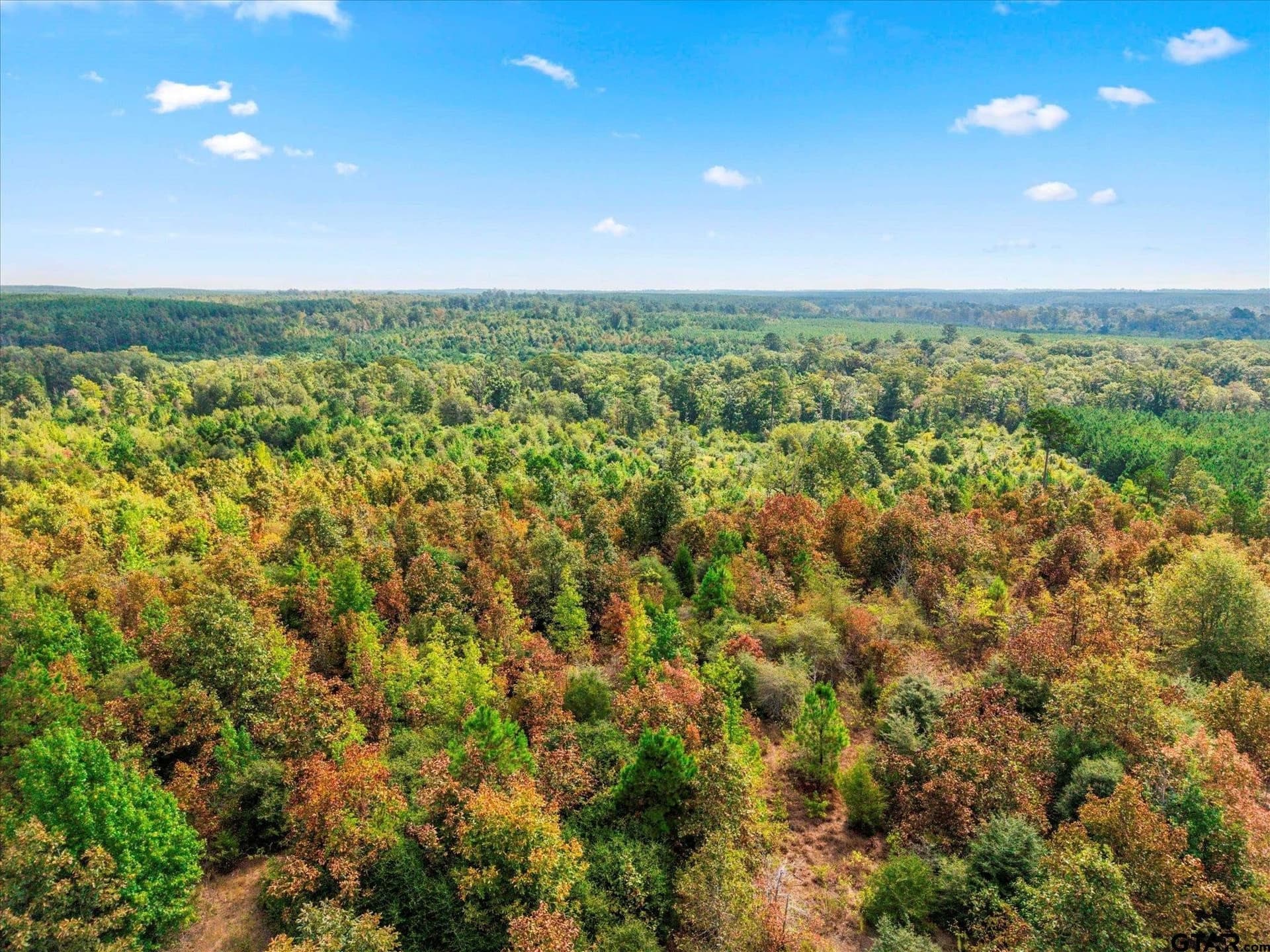24.73 acres in Cass County - photo 20