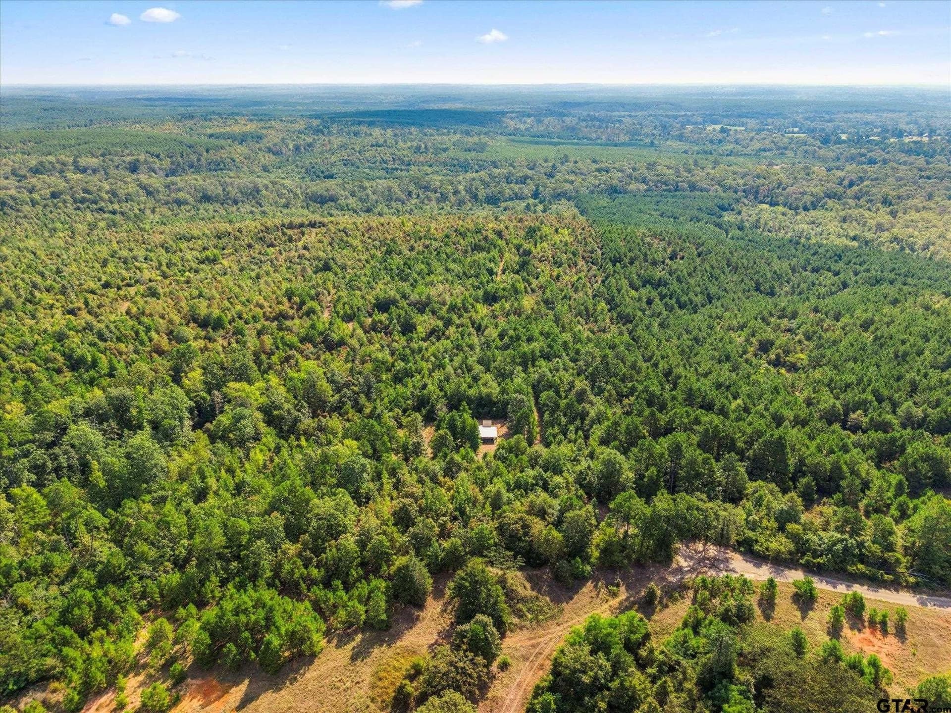 24.73 acres in Cass County - photo 9