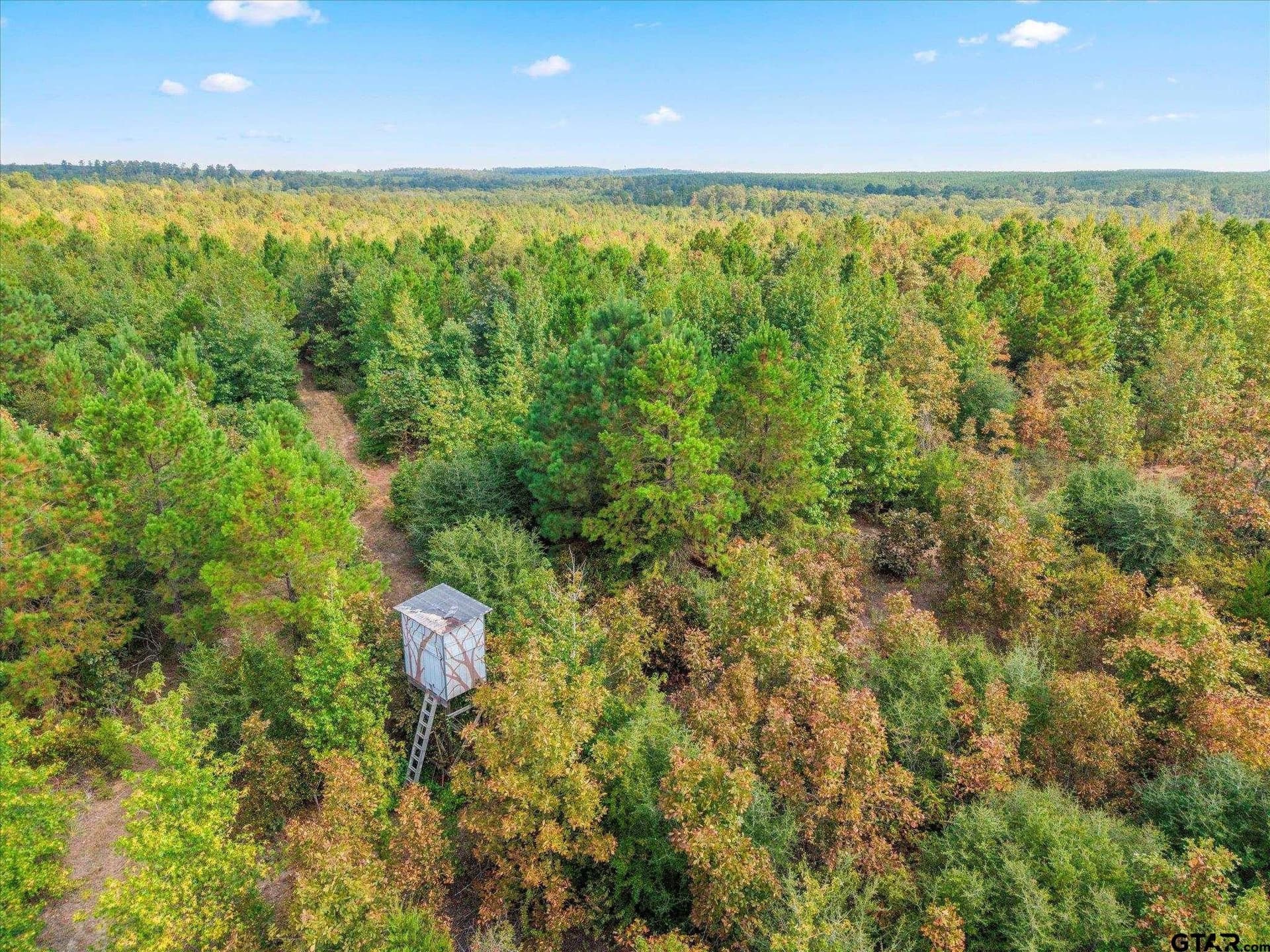24.73 acres in Cass County - photo 18