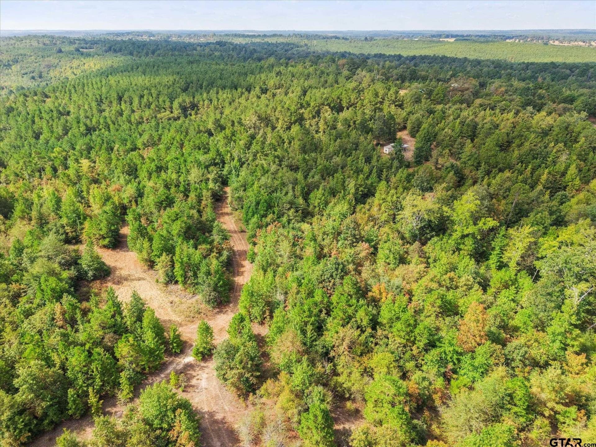 24.73 acres in Cass County - photo 15