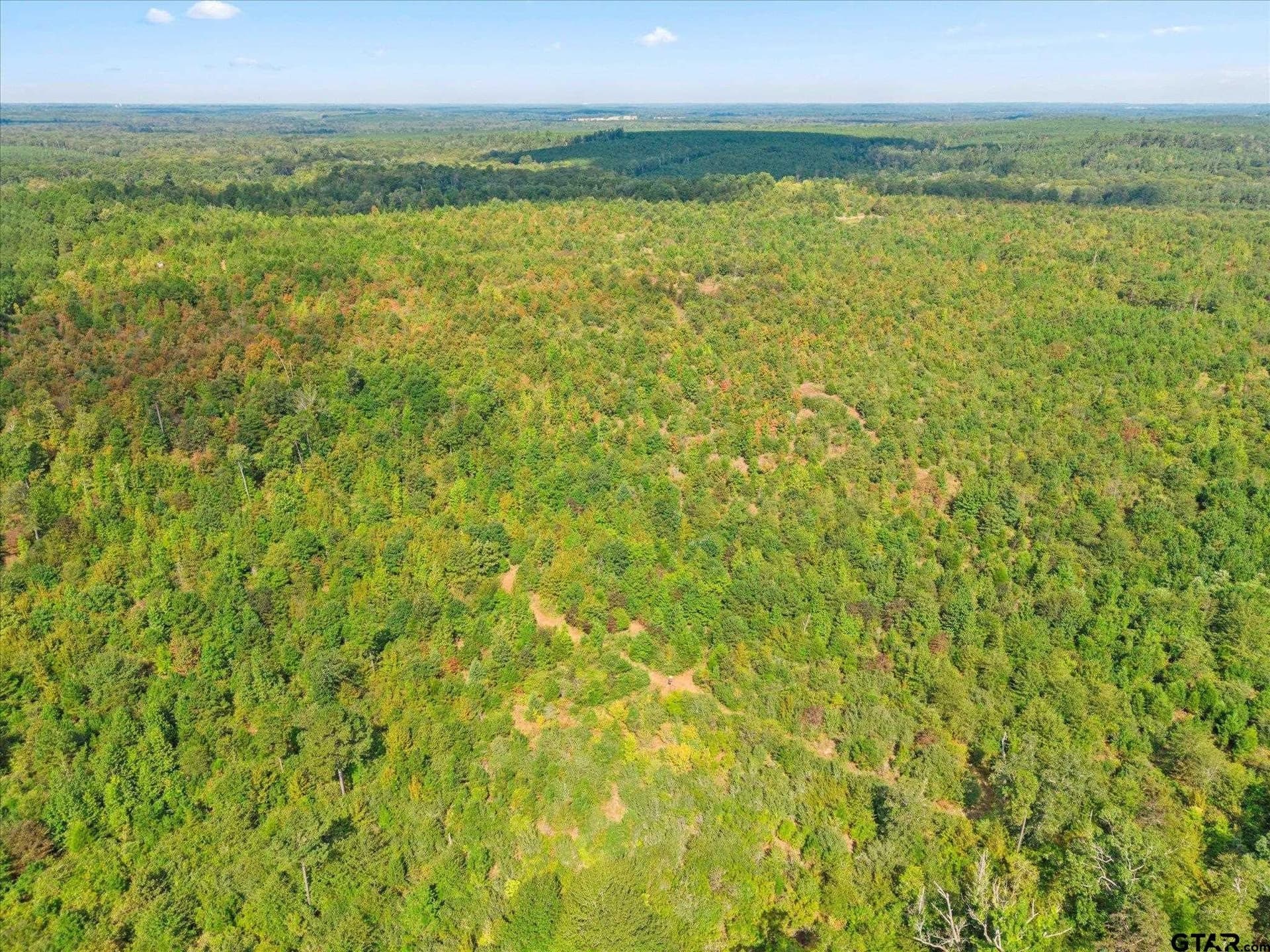 24.73 acres in Cass County - photo 21