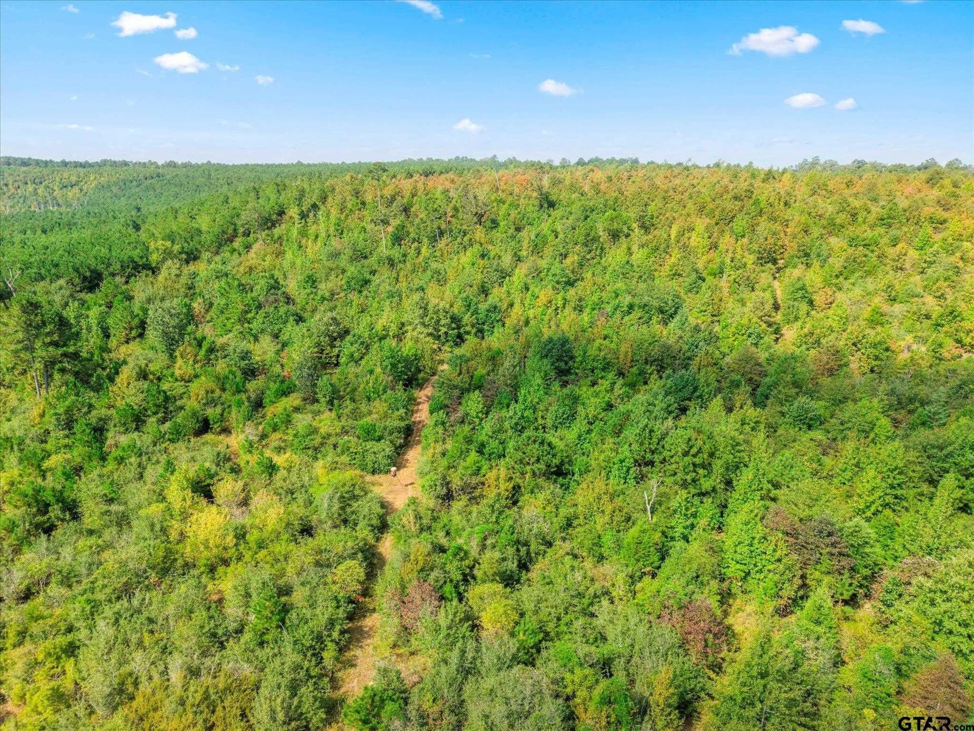 24.73 acres in Cass County - photo 22