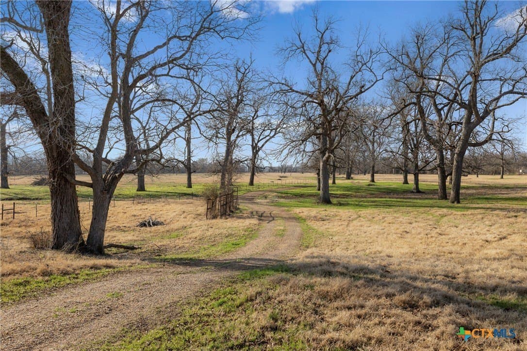 79.43 acres in Milam County - photo 17