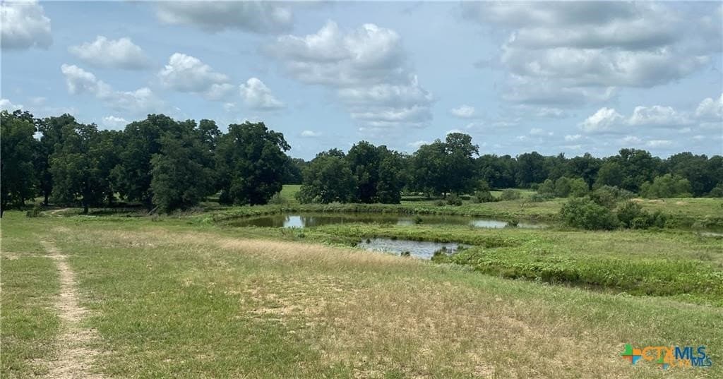 79.43 acres in Milam County - photo 34