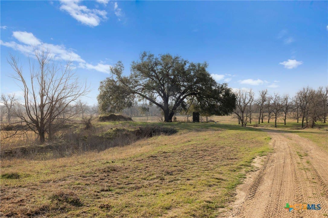 79.43 acres in Milam County - photo 15