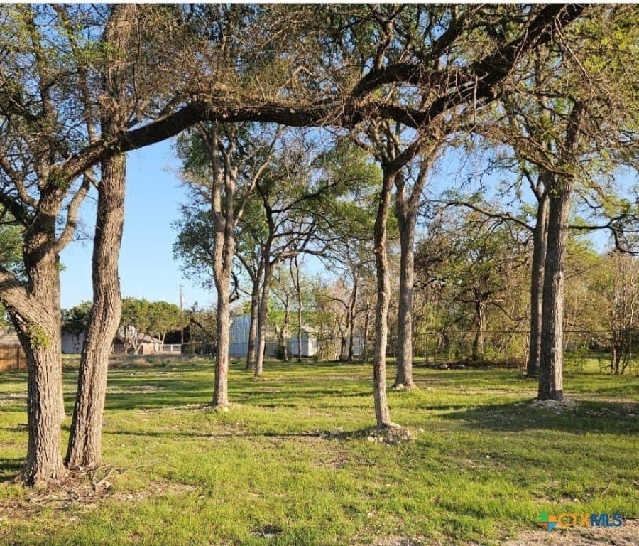 0.34 acres in Comal County - photo 5
