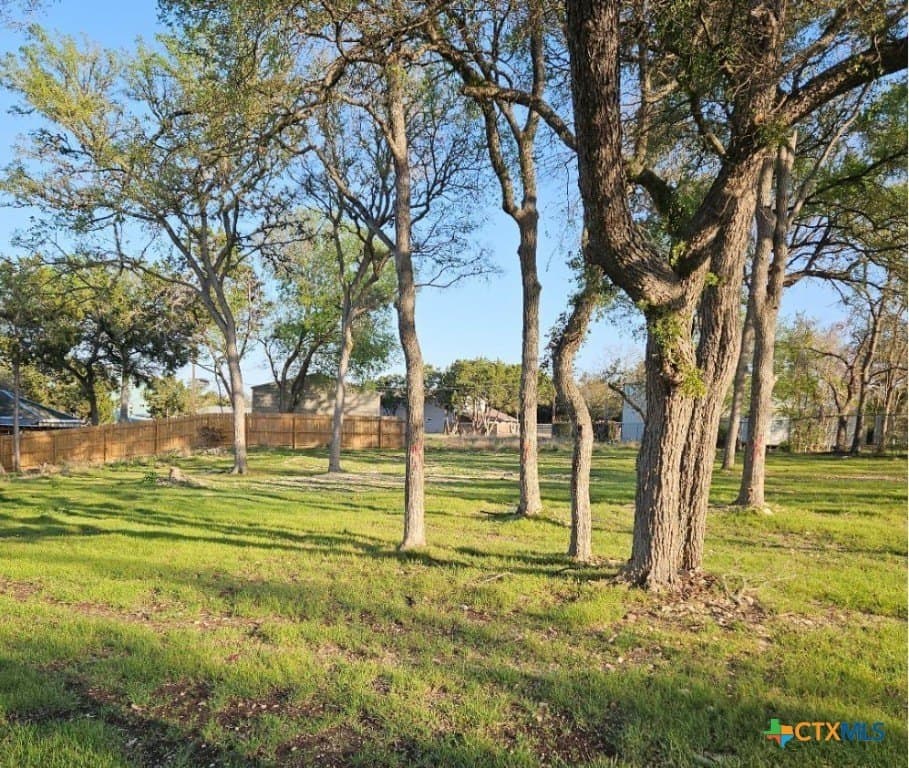 0.34 acres in Comal County - photo 4