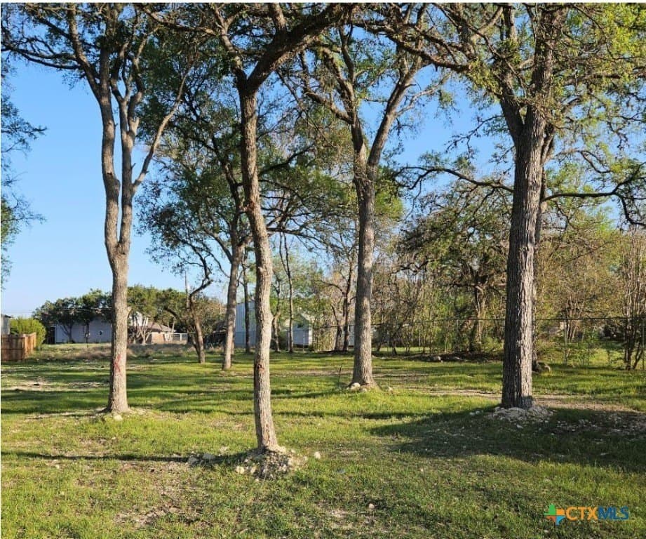 0.34 acres in Comal County - photo 2