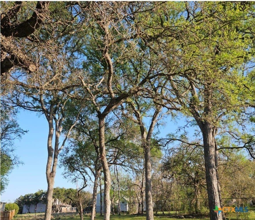 0.34 acres in Comal County - photo 3