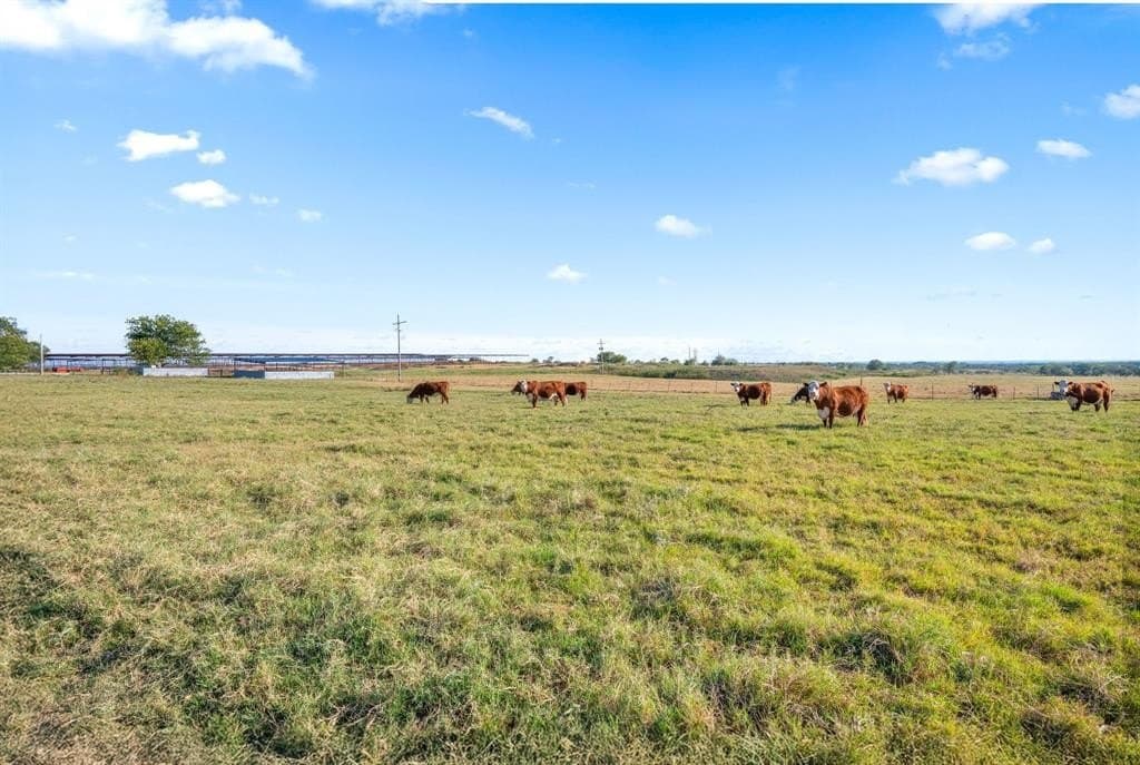 221.95 acres in Hamilton County - photo 26
