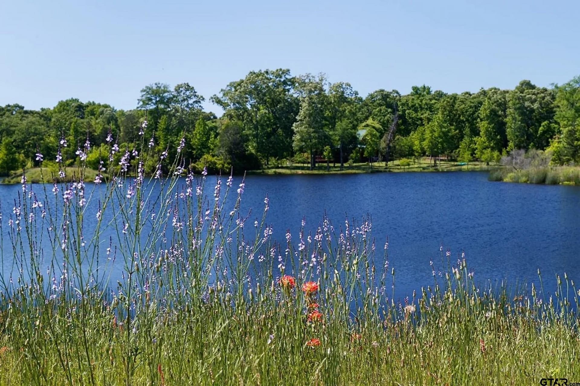 0.75 acres in Anderson County - photo 4