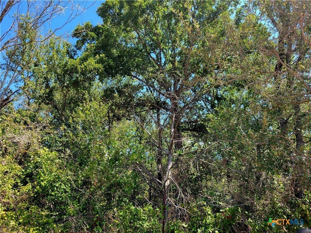 20.92 acres in Caldwell County - photo 4