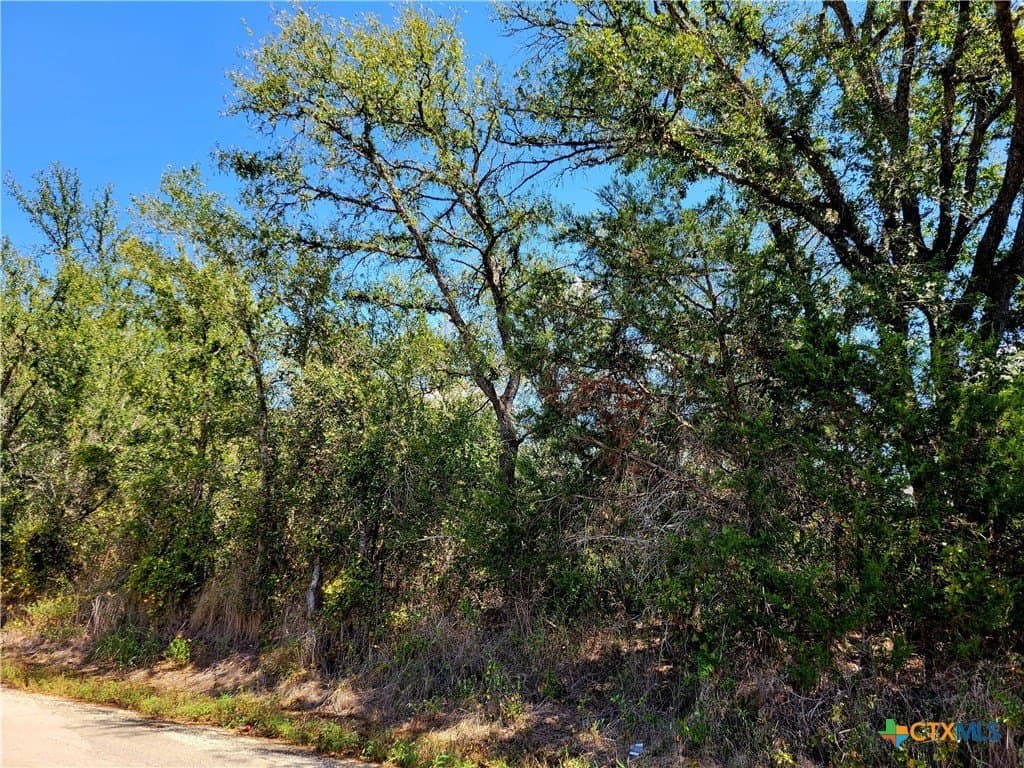 20.92 acres in Caldwell County - photo 3