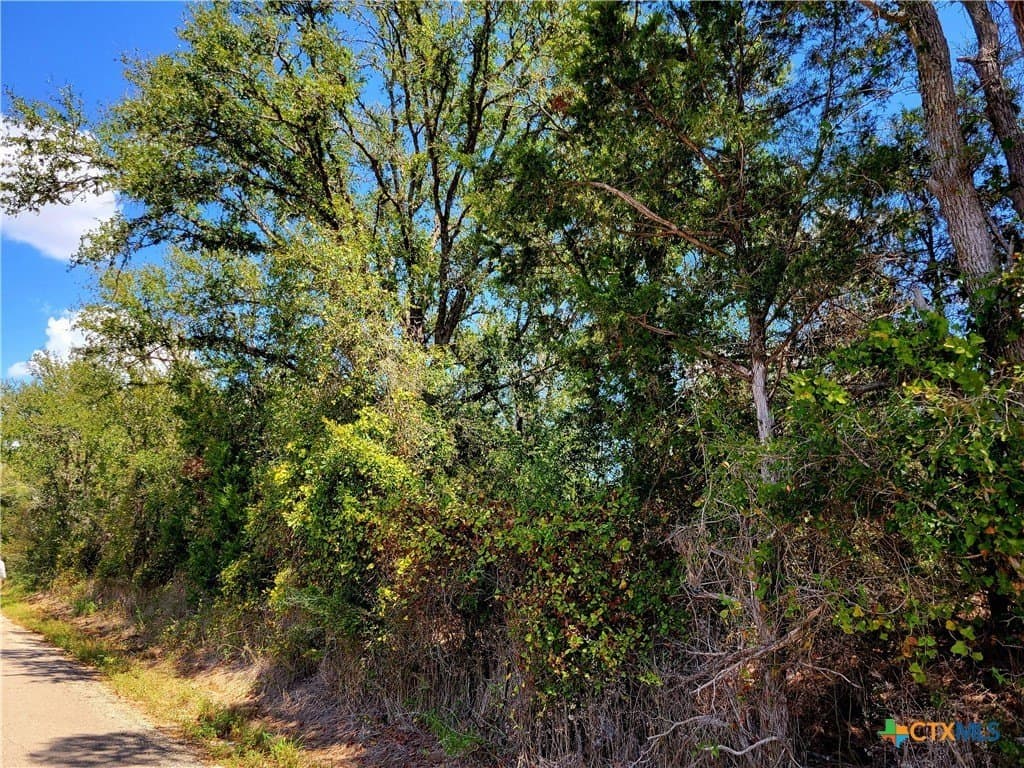 20.92 acres in Caldwell County - photo 5