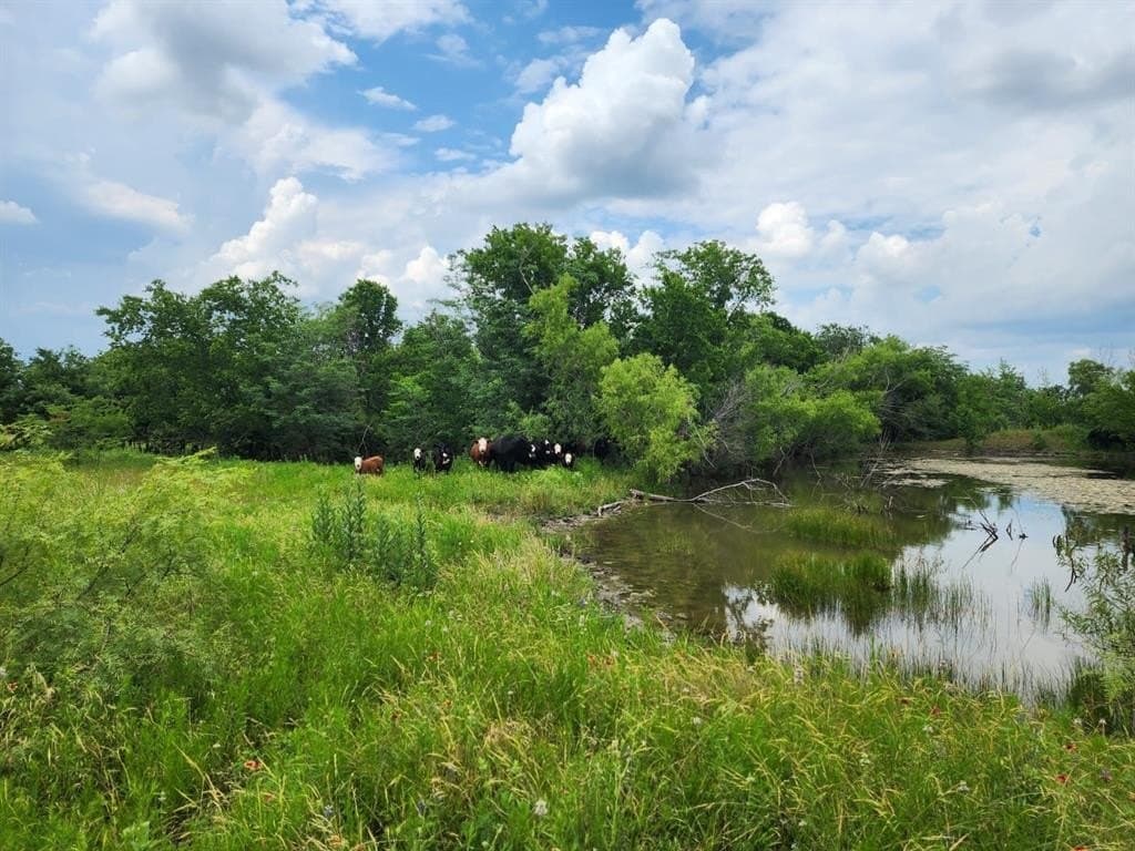 184.4 acres in Ellis County - photo 3