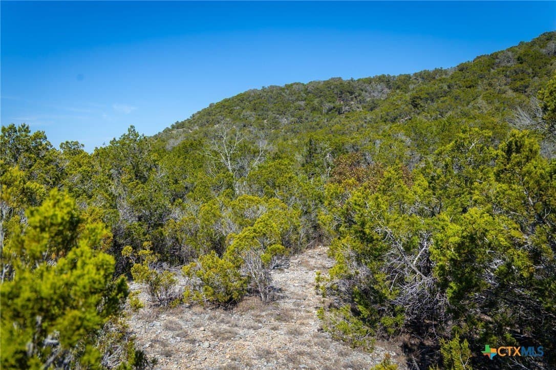 11.55 acres in Comal County - photo 5